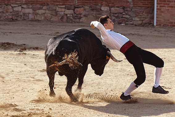 landete-recortadores-10