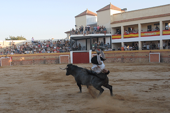 landete-recortadores-13