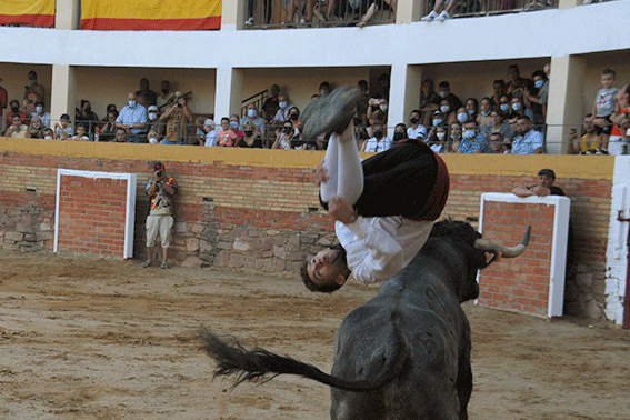 landete-recortadores-15