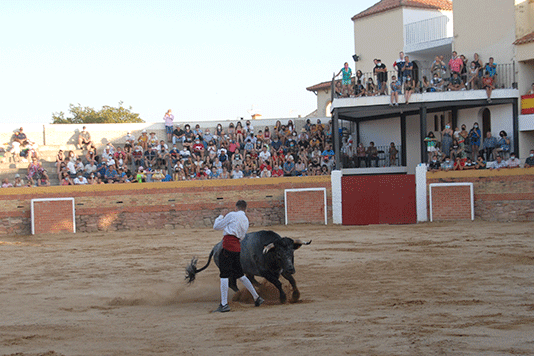 landete-recortadores-16