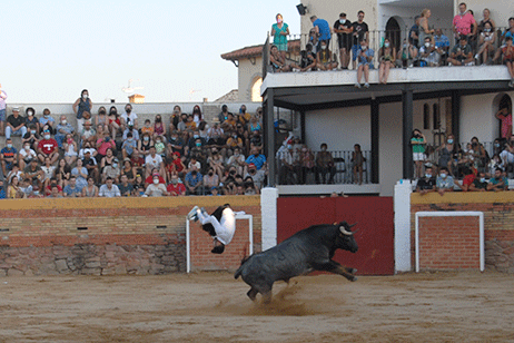 landete-recortadores-17