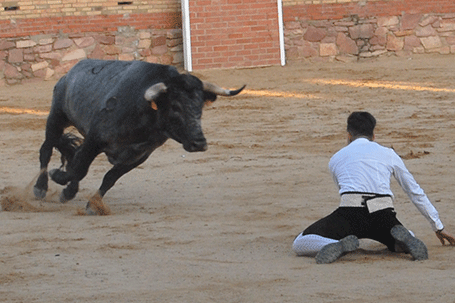 landete-recortadores-18