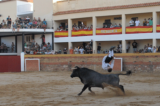 landete-recortadores-19