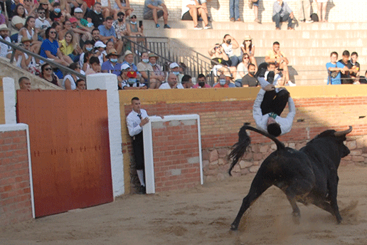 landete-recortadores-20