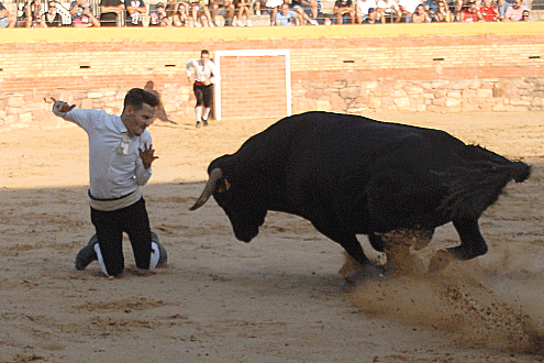 landete-recortadores-21