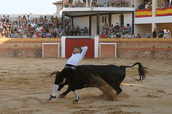 landete-recortadores-22