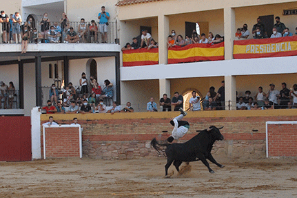 landete-recortadores-23