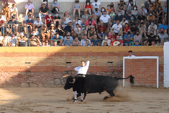 landete-recortadores-24