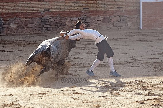 landete-recortadores-26