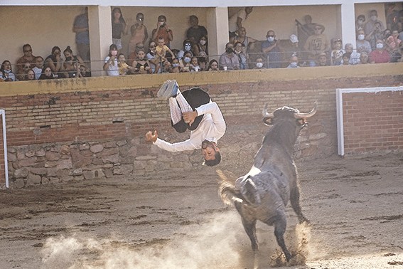 landete-recortadores-27