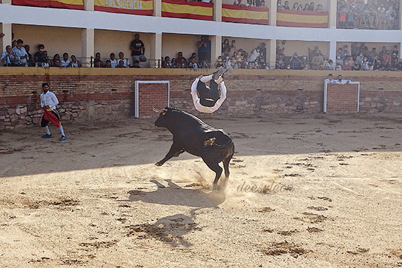 landete-recortadores-4