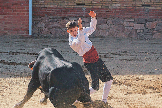 landete-recortadores-7