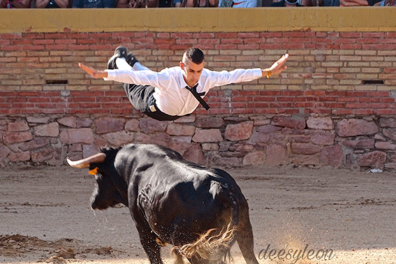 landete-recortadores-8