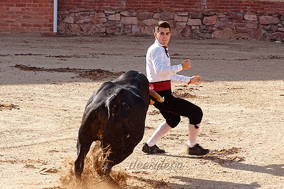 landete-recortadores-9