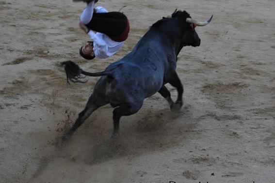 landete-recortadores-final-10