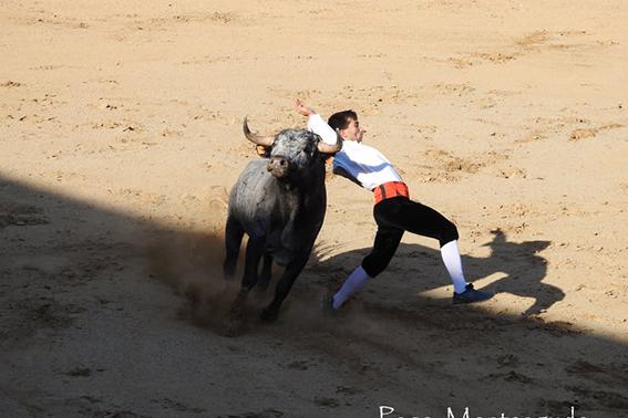 landete-recortadores-final-2