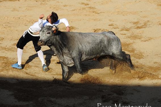 landete-recortadores-final-4