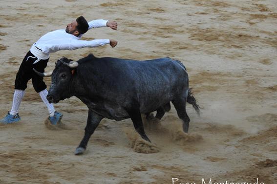 landete-recortadores-final-8