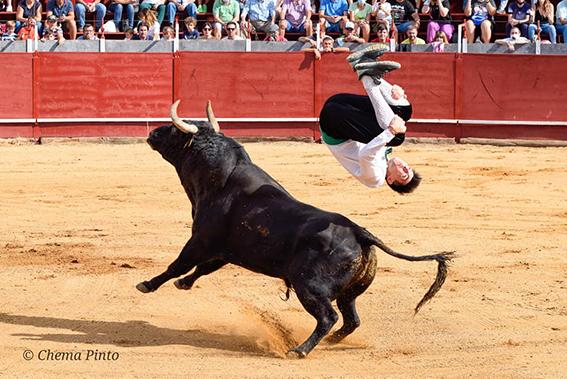 mocejon-recortadores-7