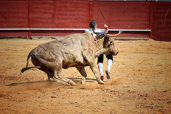 mocejon-recortadores-4