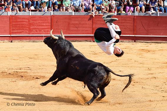 mocejon-recortadores-7