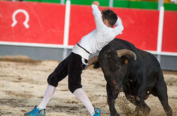 La-Rapita-recortadores-10