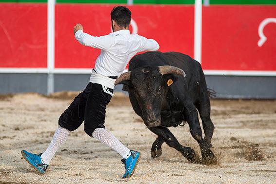 La-Rapita-recortadores-11