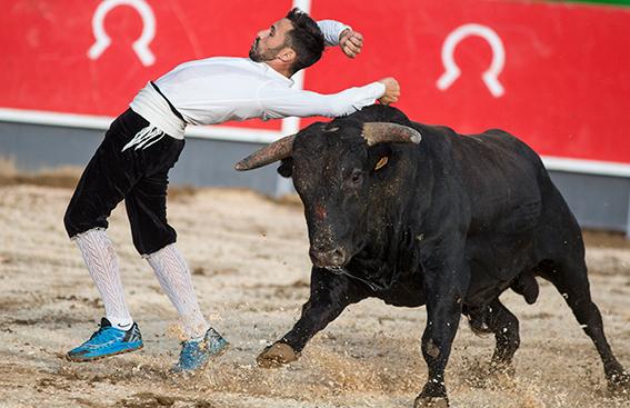 La-Rapita-recortadores-12