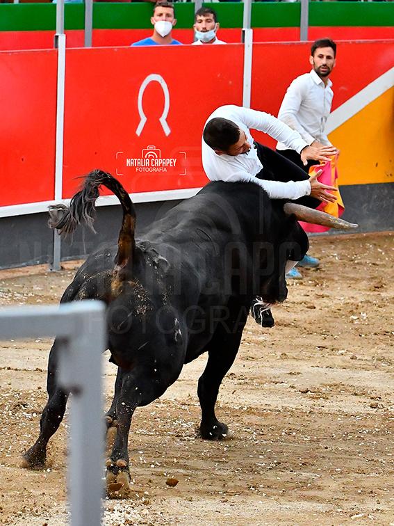 La-Rapita-recortadores-2