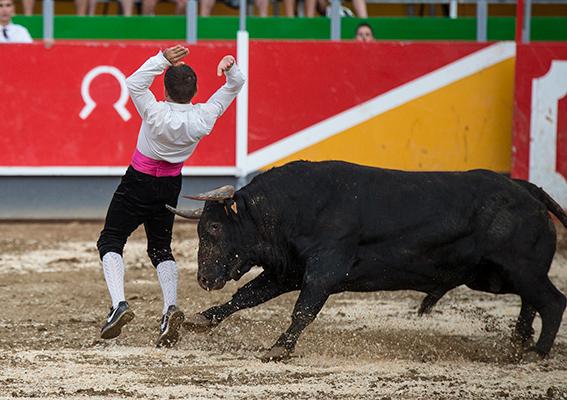 La-Rapita-recortadores-7