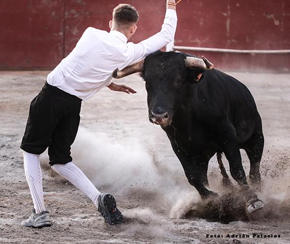 socovos-recortadores-0