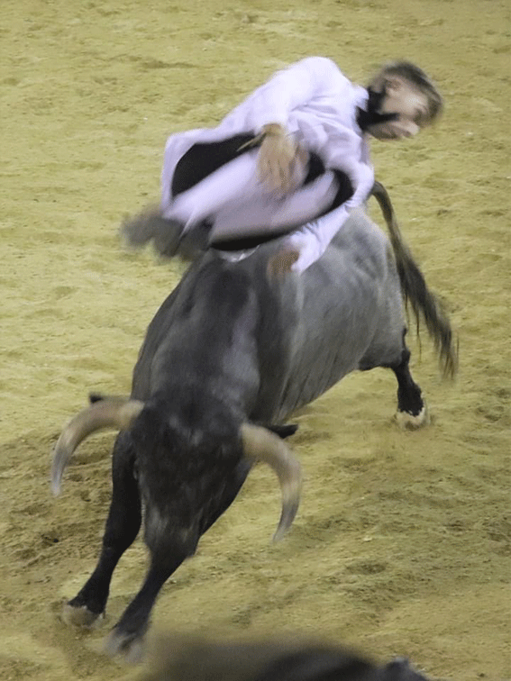 talayuelas-recortadores-2