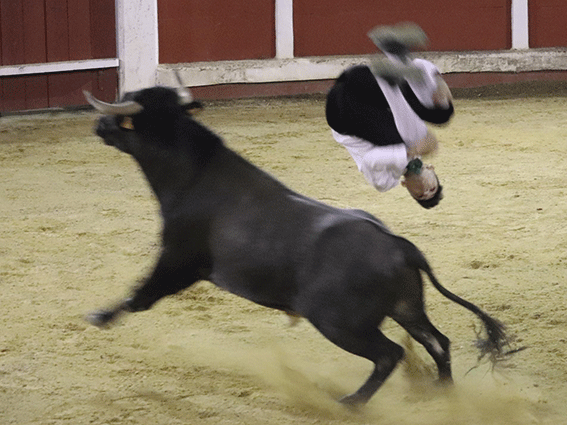 talayuelas-recortadores-4