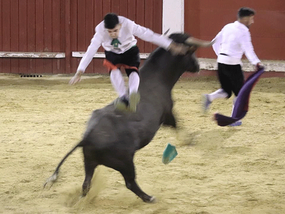 talayuelas-recortadores-5