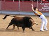 ajalvir53