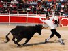 Abanilla 2010 (1)