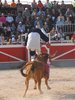 Abanilla 2010 (30)