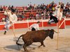 Abanilla 2010 (15)