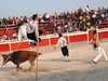 Abanilla 2010 (9)