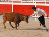Abanilla 2010 (27)