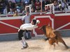 Abanilla 2010 (32)