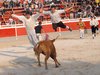 Abanilla 2010 (5)