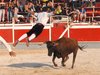 Abanilla 2010 (18)