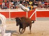Abanilla 2010 (16)