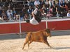 Abanilla 2010 (29)