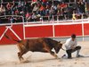 Abanilla 2010 (2)