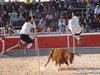 Abanilla 2010 (26)