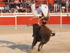 Abanilla 2010 (20)