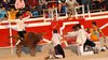 Abanilla 2010 (35)