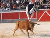 Abanilla 2010 (28)